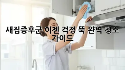 새집증후군, 이젠 걱정 뚝! 완벽 청소 가이드