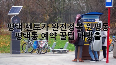 평택 렌트카 완전정복😎 원평동 & 평택동 예약 꿀팁 대방출!