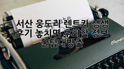 🚗 서산 웅도리 렌트카 생생 후기! 놓치면 후회할 정보 #꿀팁대방출