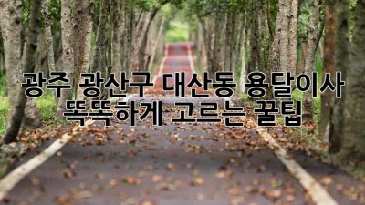 광주 광산구 대산동 용달이사🚚💨 똑똑하게 고르는 꿀팁🍯
