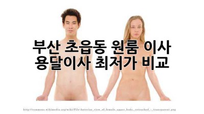 부산 초읍동 원룸 이사? 용달이사 최저가 비교!